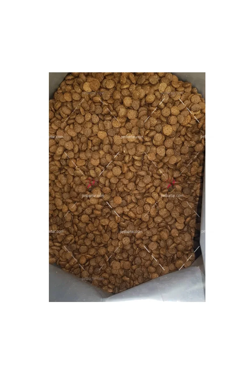 غذای خشک گربه بالغ نوتری پت