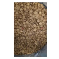 نوتری پت سگ بالغ 29 درصد