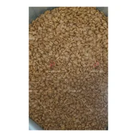 غذای خشک بچه گربه رویال